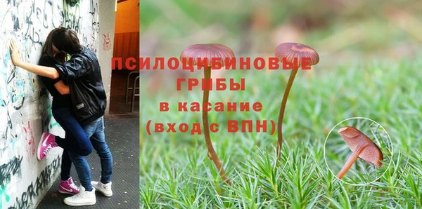 СК Абдулино